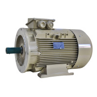 Електродвигун IE3 енергоефективний LEDERMANN L3E G 180MK2 30.0 кВт 3000 об/хв B3  - 2 - ekvives.com