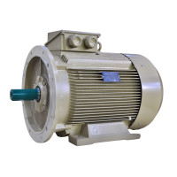 Електродвигун IE3 енергоефективний LEDERMANN L3E G 250MK2 75.0 кВт 3000 об/хв B3 - 2 - ekvives.com