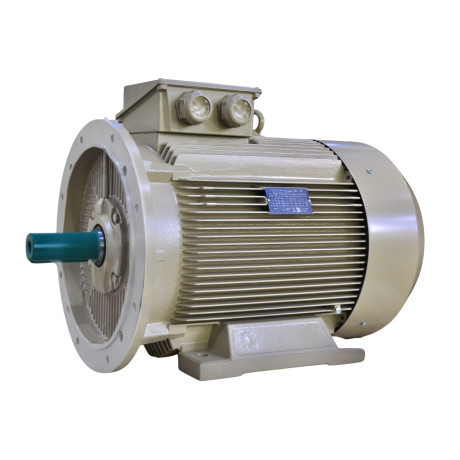 Електродвигун IE3 енергоефективний LEDERMANN L3E G 250MK2 75.0 кВт 3000 об/хв B3 - 2