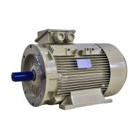 Електродвигун IE3 енергоефективний LEDERMANN L3E A 180MA2 22.0 кВт 3000 об/хв B3 стандарт DIN - 2 - ekvives.com