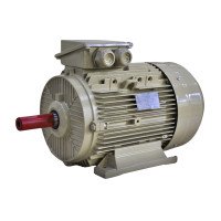 Електродвигун IE3 енергоефективний LEDERMANN L3E G 160MB2 15.0 кВт 3000 об/хв B3 стандарт DIN - 2 - ekvives.com