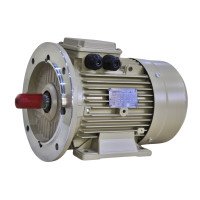 Електродвигун IE3 енергоефективний LEDERMANN L3E A 90SA2 1.5 кВт 3000 об/хв B3 стандарт DIN - 2 - ekvives.com