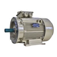Електродвигун IE3 енергоефективний LEDERMANN L3E G 180MK2 30.0 кВт 3000 об/хв B3  - 2 - ekvives.com