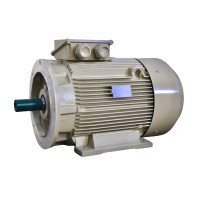 Електродвигун IE3 енергоефективний LEDERMANN L3E A 200LA4 30.0 кВт 1500 об/хв B3 стандарт DIN - 2 - ekvives.com