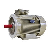 Електродвигун IE3 енергоефективний LEDERMANN L3E A 225MA2 45.0 кВт 3000 об/хв B3 стандарт DIN - 2 - ekvives.com