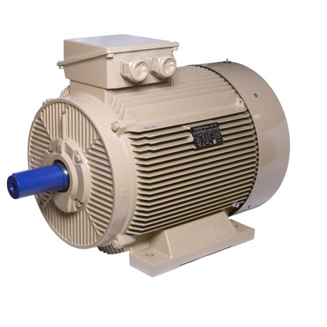 Ledermann energy-efficient electric motors