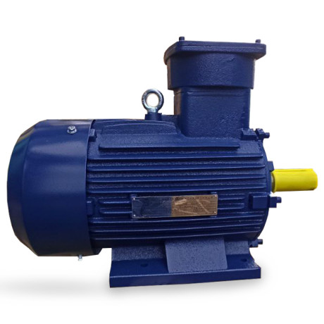 Explosion-proof electric motors