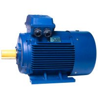 АИР250S10 electric motor 22 KW 600 rpm IM1081 - 2 - ekvives.com