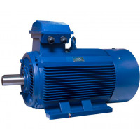 АИР315M8 electric motor 110 KW 750 rpm ІМ1001 - 2 - ekvives.com