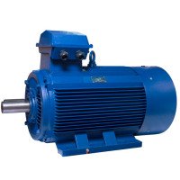 АИР355S10 electric motor 90 KW 600 rpm IM1081 - 2 - ekvives.com