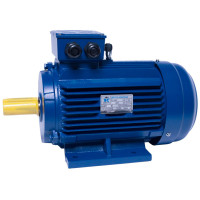 АИР112MB8 електродвигун 3 кВт 750 об/хв ІМ1081 - 2 - ekvives.com