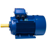 АИР200L6 electric motor 30 KW 1000 rpm IM1081 - 2 - ekvives.com