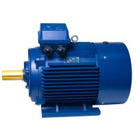 АИР225M8 електродвигун 30 кВт 750 об/хв IM1081 - 2 - ekvives.com