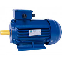 АИР90LA8 електродвигун 0.75 кВт 750 об/хв ІМ1081 - 2 - ekvives.com