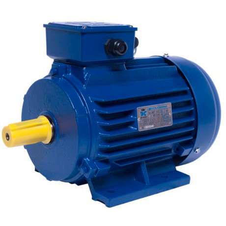 АИР100L8 electric motor 1.5 KW 750 rpm ІМ1081 - 1