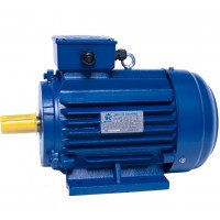 АИР100L8 electric motor 1.5 KW 750 rpm ІМ1081 - 2 - ekvives.com