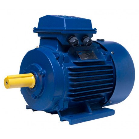 АИР160S6 electric motor 11 KW 1000 rpm ІМ1081 - 1