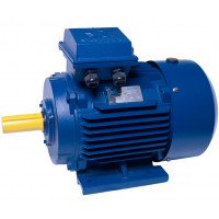 АИР160S6 electric motor 11 KW 1000 rpm ІМ1081 - 2 - ekvives.com