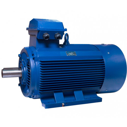Purchase АИР315S6 electric motor 110 KW 1000 rpm ІМ1001 with an ...
