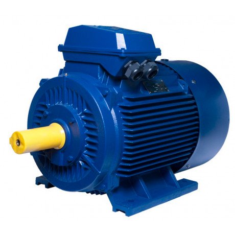 АИР280S2 electric motor 110 KW 3000 rpm ІМ1001 - 1