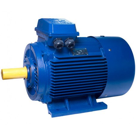 АИР280M2 electric motor 132 KW 3000 rpm ІМ1001 - 3