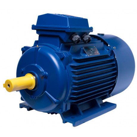 АИР160M6 electric motor 15 KW 1000 rpm ІМ1081 - 1