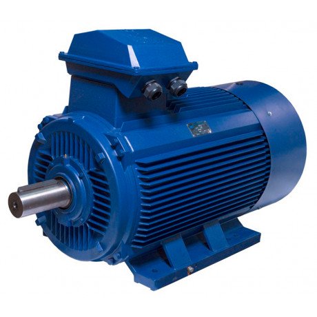 АИР355M8 electric motor 160 KW 750 rpm ІМ1001 - 1