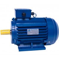 АИР100L6 електродвигун 2.2 кВт 1000 об/хв ІМ1081 - 2 - ekvives.com