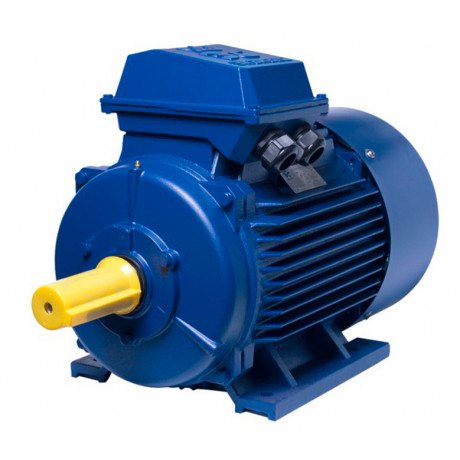 АИР200L8 electric motor 22 KW 750 rpm ІМ1081 - 1