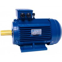 АИР112MB6 electric motor 4 KW 1000 rpm IM1081 - 2 - ekvives.com
