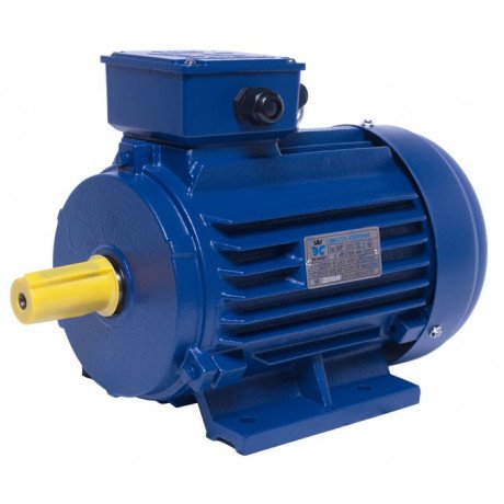 АИР100S2 electric motor 4 kW 3000 rpm IM1081 - 1
