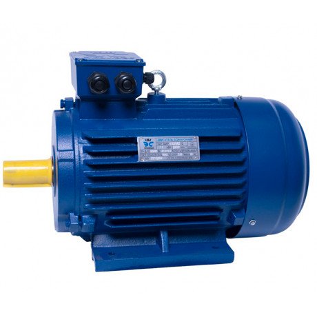 АИР132S8 electric motor 4 KW 750 rpm IM1081 - 3