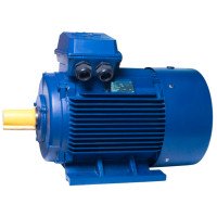 АИР250S6 електродвигун 45 кВт 1000 об/хв IM1081 - 2 - ekvives.com