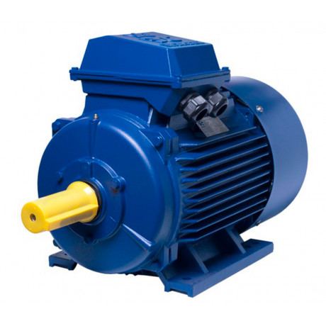 АИР200L2 electric motor 45 KW 3000 rpm IM1081 - 1