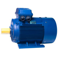 АИР250M6 electric motor 55 KW 1000 rpm IM1081 - 2 - ekvives.com