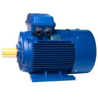 АИР250M6 electric motor 55 KW 1000 rpm IM1081 - 2 - ekvives.com