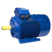 АИР280S8 electric motor 55 KW 750 rpm IM2081 - 2 - ekvives.com