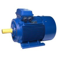 АИР280S8 electric motor 55 KW 750 rpm IM2081 - 2 - ekvives.com