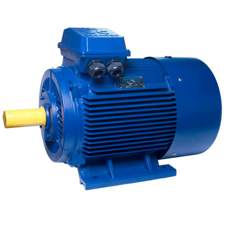 АИР280S6 electric motor 75 KW 1000 rpm ІМ1001 - 3