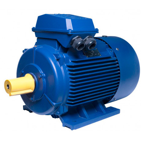 АИР250S2 electric motor 75 KW 3000 rpm IM1081 - 1