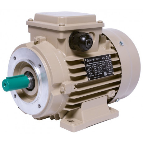 Electric motor IE3 energy-efficient LEDERMANN L3E A 80MA2 0.75 kW 3000 rpm B3 - 1