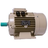 Електродвигун IE3 енергоефективний LEDERMANN L3E A 100LB4 3.0 кВт 1500 об/хв B3 стандарт DIN - 2 - ekvives.com
