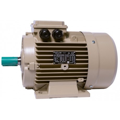Електродвигун IE3 енергоефективний LEDERMANN L3E A 100LB4 3.0 кВт 1500 об/хв B3 стандарт DIN - 4