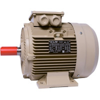 Electric motor IE3 energy-efficient LEDERMANN L3E A 132SA6 3 kW 1000 rpm B3 - 2 - ekvives.com