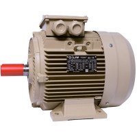 Electric motor IE3 energy-efficient LEDERMANN L3E A 132SA6 3 kW 1000 rpm B3 - 2 - ekvives.com