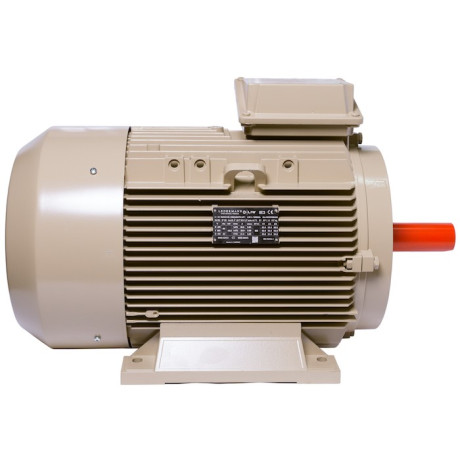 Electric motor IE3 energy-efficient LEDERMANN L3E A 132MA8 3 kW 750 rpm B35 - 3