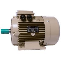 Електродвигун IE3 енергоефективний LEDERMANN L3E A 100LK2 4.0 кВт 3000 об/хв B3 - 2 - ekvives.com