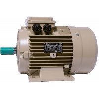 Электродвигатель IE3 энергоэффективный LEDERMANN L3E A 112MA2 4 кВт 3000 об/мин B3 стандарт DIN - 2 - ekvives.com