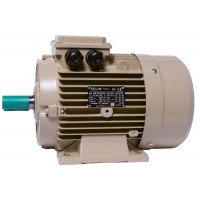 Електродвигун IE3 енергоефективний LEDERMANN L3E A 112MK2 5.5 кВт 3000 об/хв B3 - 2 - ekvives.com