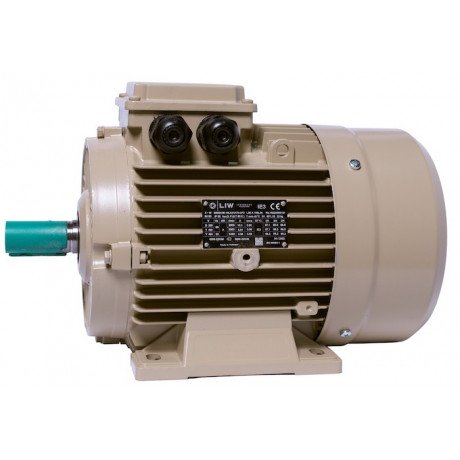 Електродвигун IE3 енергоефективний LEDERMANN L3E A 112MK2 5.5 кВт 3000 об/хв B3 - 2